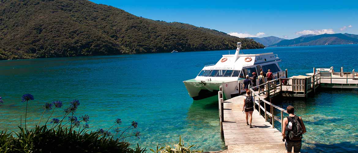 Beach Comber Cruises Queen Charlotte Track
